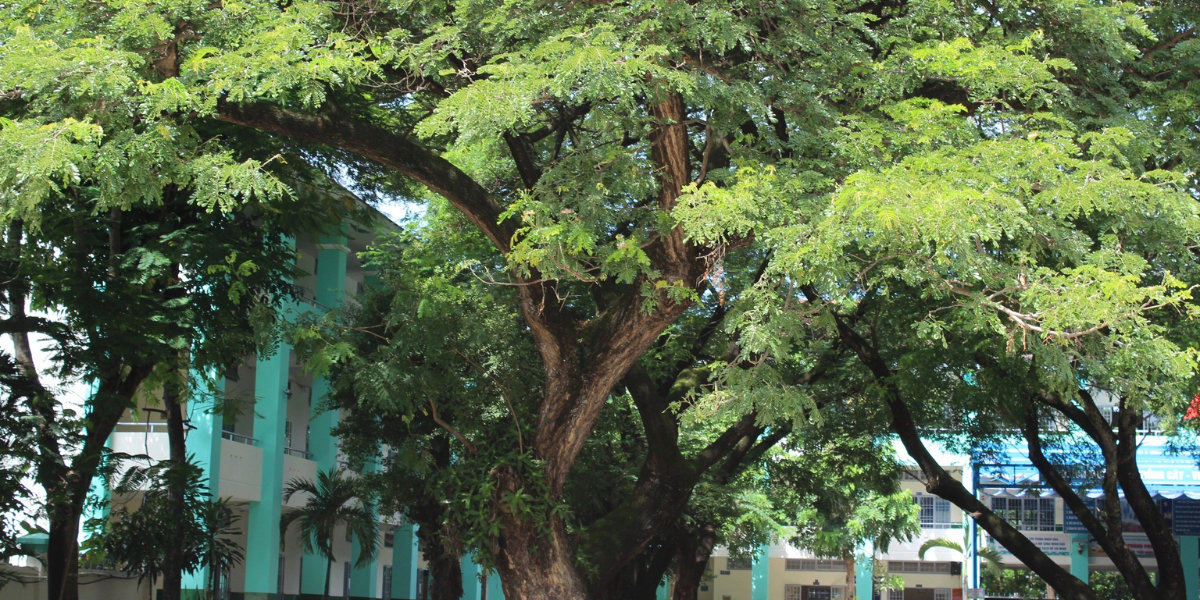 Thiết kế chưa có tên (4)